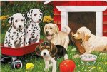 Dogs In Backyard Garden Paint By Numbers