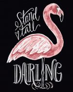 Flamingo Poster Birds Paint By Numbers