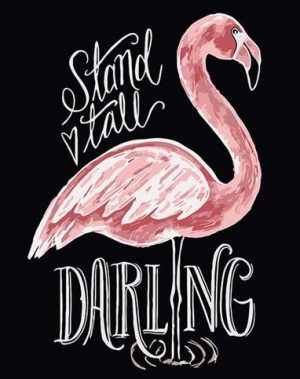 Flamingo Poster Birds Paint By Numbers