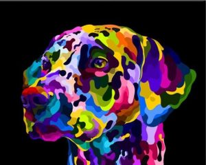 Colorful Dog Head Paint By Numbers