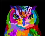 Colorful Owl Paint By Numbers