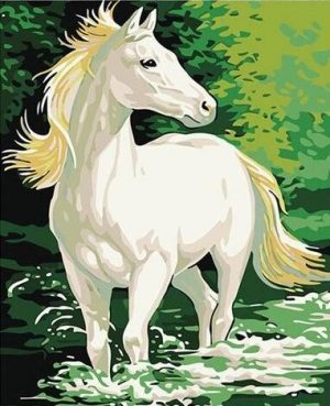 White Horse In Water Paint By Numbers