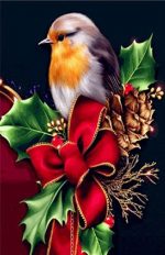 Christmas Robin Bird Paint By Numbers