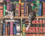 Cat On Bookshelf Paint By Numbers