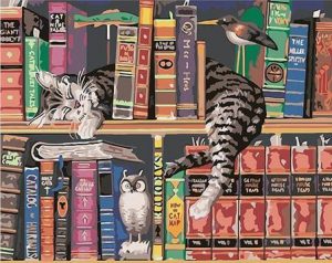 Cat On Bookshelf Paint By Numbers