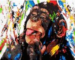 Colorful Funny Monkey Paint By Numbers