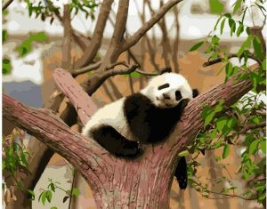 Panda On Tree Paint By Numbers