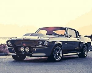 Ford Mustang Shelby Paint By Numbers