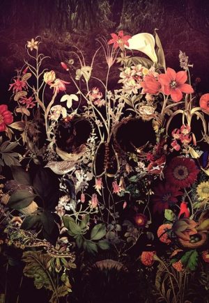 Flowering Skull Paint By Numbers
