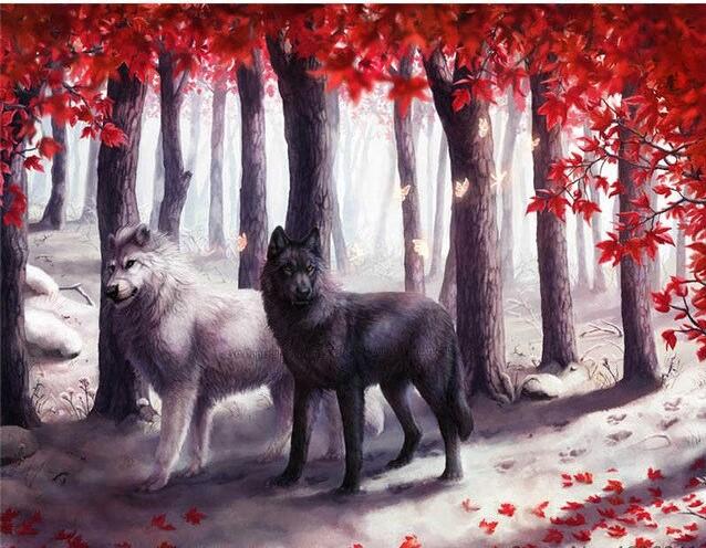 Two Wolves In Forest Paint By Numbers