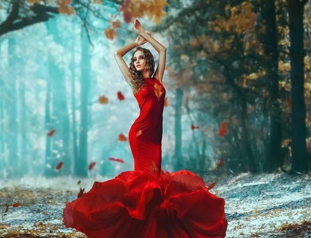 Woman In Red Dress Paint By Numbers