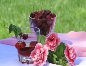 Flower and Berries  Flowers Paint By Numbers