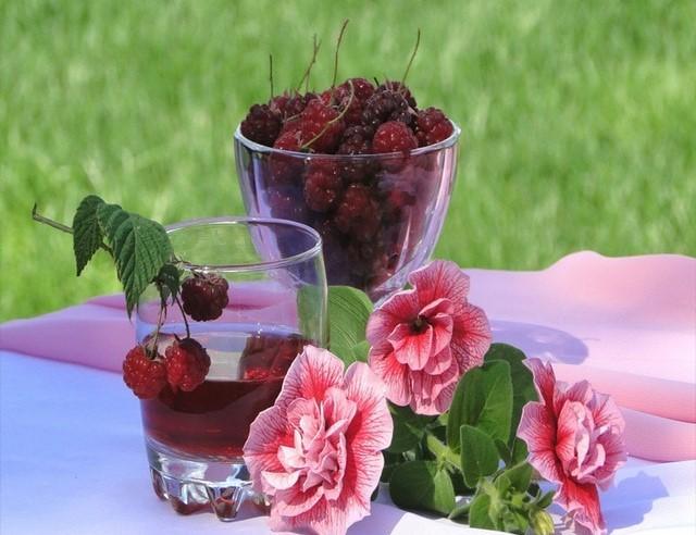 Flower and Berries  Flowers Paint By Numbers