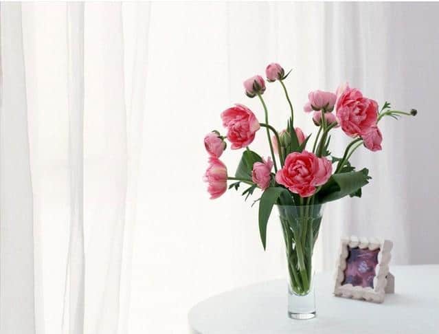 Pink Roses Vase Paint By Numbers