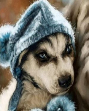 Siberian Husky Puppy Paint By Numbers