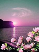 Purple Sunset Seascape Paint By Numbers