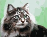 Adorable Cat Paint By Numbers