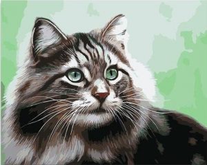 Adorable Cat Paint By Numbers
