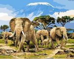 Elephants Herd Paint By Numbers