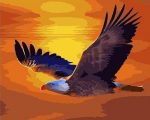 Twilight Eagle Paint By Numbers