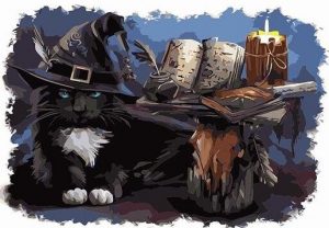 The Witch Cat Paint By Numbers