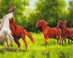 White Brown Horses Paint By Numbers