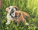 Bulldog With Puppy Paint By Numbers
