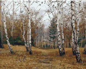 Birch Trees Forest Paint By Numbers