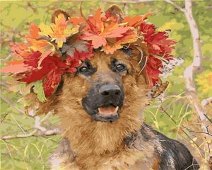 Dog Wearing Wreath Paint By Numbers