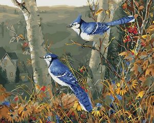 Blue Jay Birds Paint By Numbers
