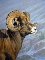 Mount Everest Ram Paint By Numbers