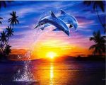 Dolphins Jump At Sunset Paint By Numbers