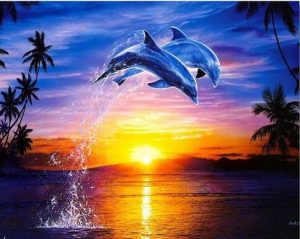 Dolphins Jump At Sunset Paint By Numbers