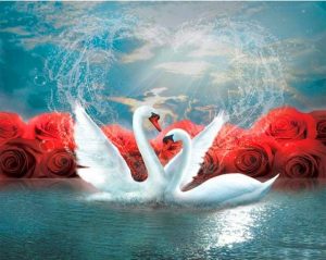 Swans Love Paint By Numbers