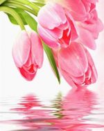 Pink Tulips paint by numbers