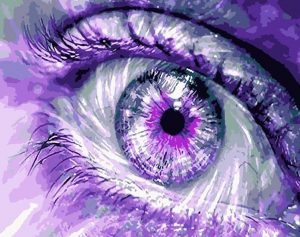 Purple Eye Paint By Numbers
