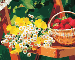 Flowers And Strawberries Paint By Numbers