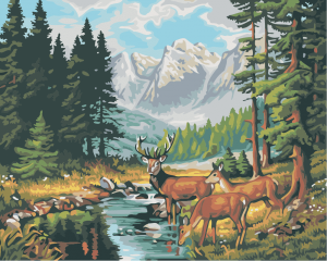 Wildlife Deer Paint By Numbers