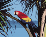 Parrot Bird On Tree Paint By Numbers