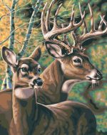 Deer Couple Paint By Numbers