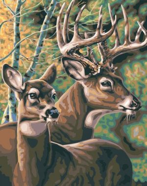 Deer Couple Paint By Numbers