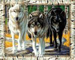 Three Wolves Paint By Numbers