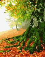 Big Tree Landscape Paint By Numbers