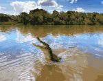 Crocodile In River Paint By Numbers