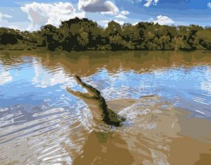 Crocodile In River Paint By Numbers