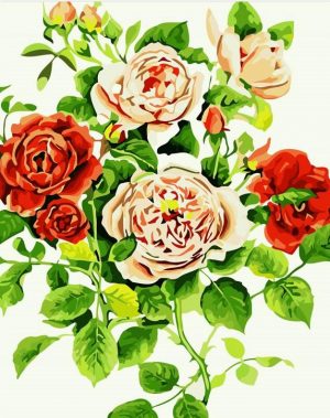 Peonies In Spring Paint By Numbers