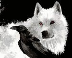 Wolf And Raven Paint By Numbers