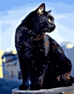 Black Cat Paint By Numbers