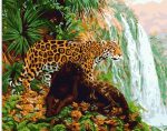 Wild Leopards Paint By Numbers