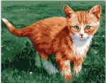 Little Orange Cat Paint By Numbers